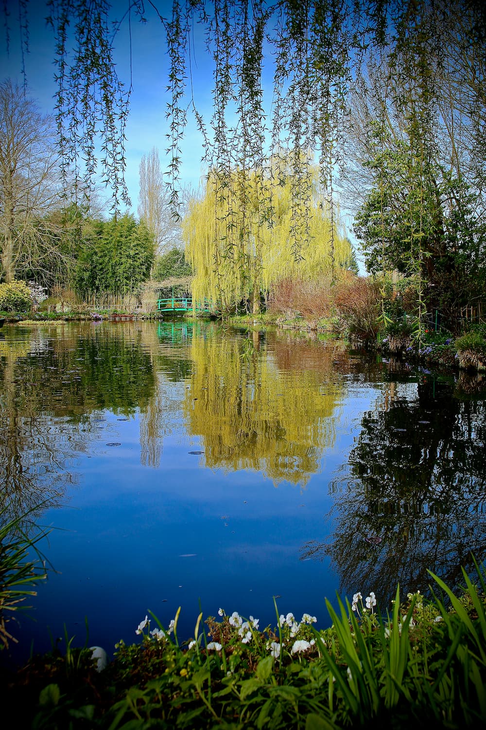 Bring Parisian Charm Home with Paris Garden Glass Vases and Coasters