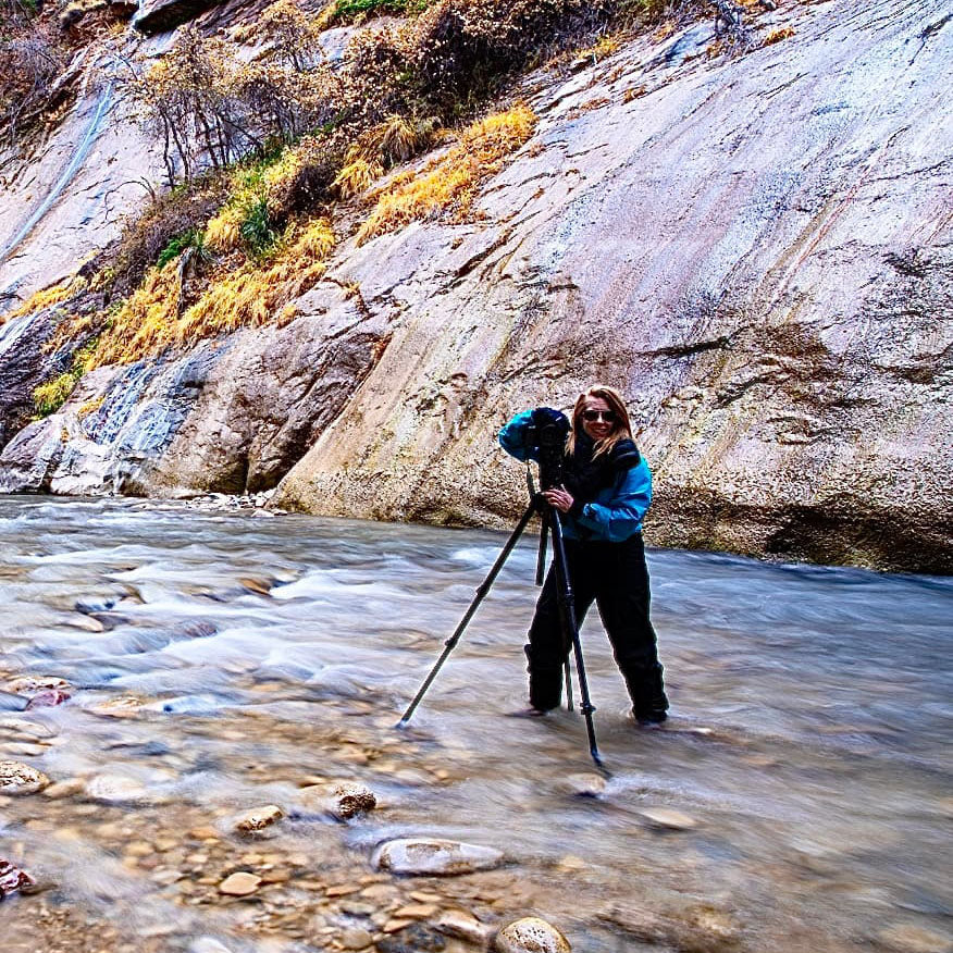 Meet the Artist: Susan Vizvary’s Creative Journey