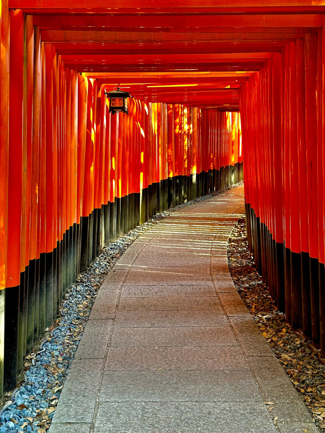 The Story Behind the Torii Gates: Whiskey Glass Set from SVP at Home