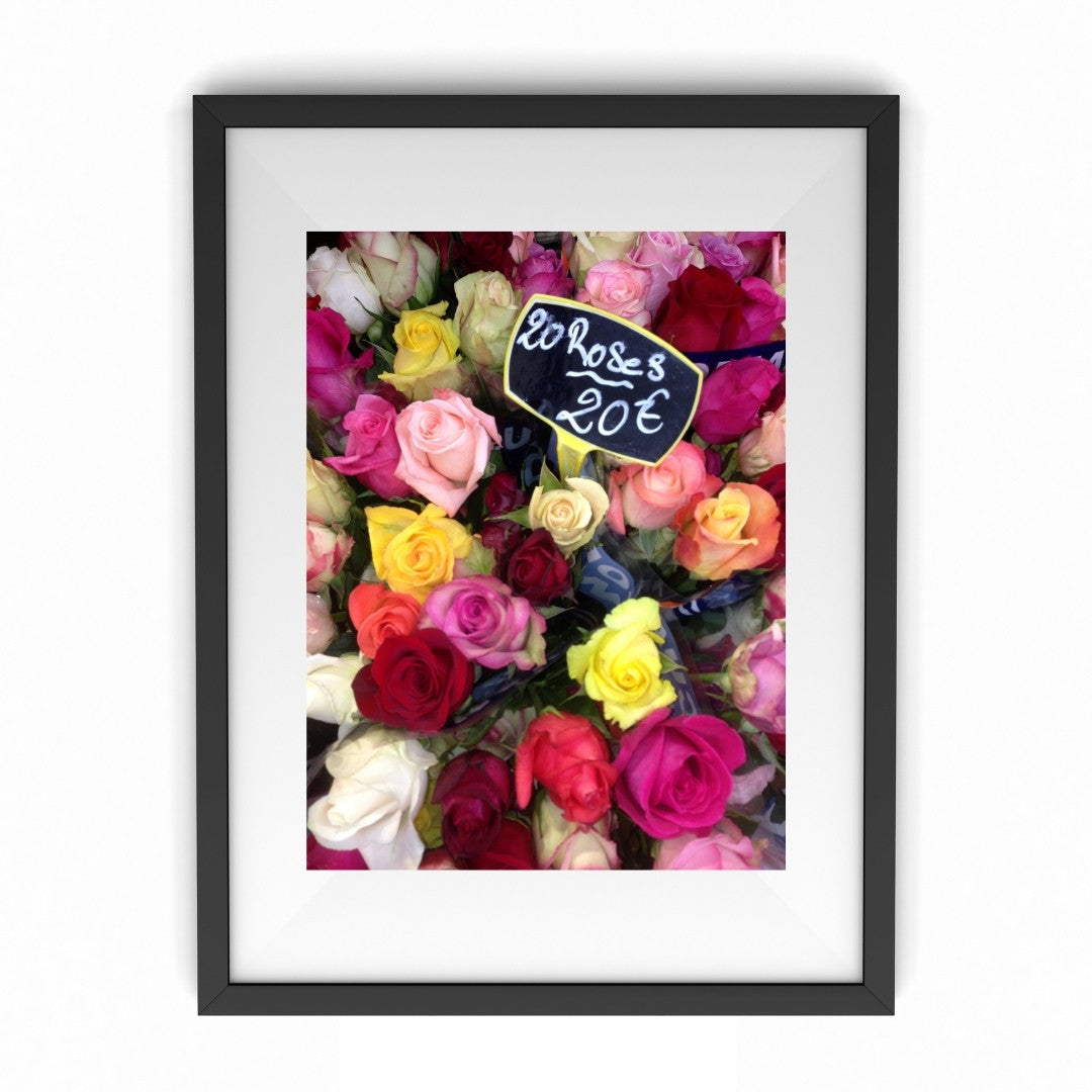 20 Roses Collection – SVP at Home